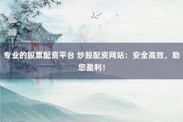 专业的股票配资平台 炒股配资网站:安全高效,助您盈利!