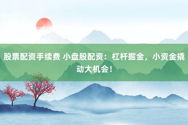 股票配资手续费 小盘股配资：杠杆掘金，小资金撬动大机会！