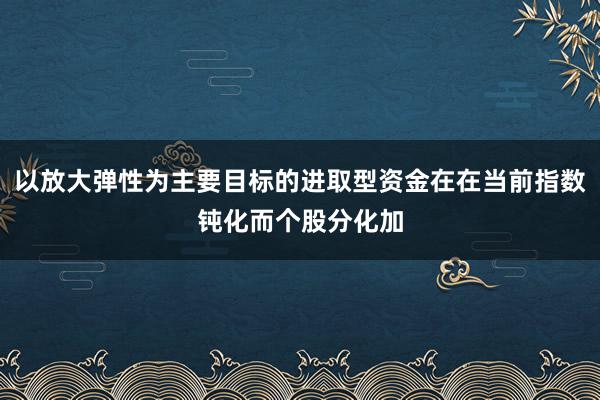 以放大弹性为主要目标的进取型资金在在当前指数钝化而个股分化加