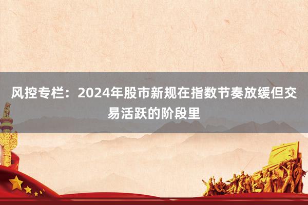 风控专栏：2024年股市新规在指数节奏放缓但交易活跃的阶段里