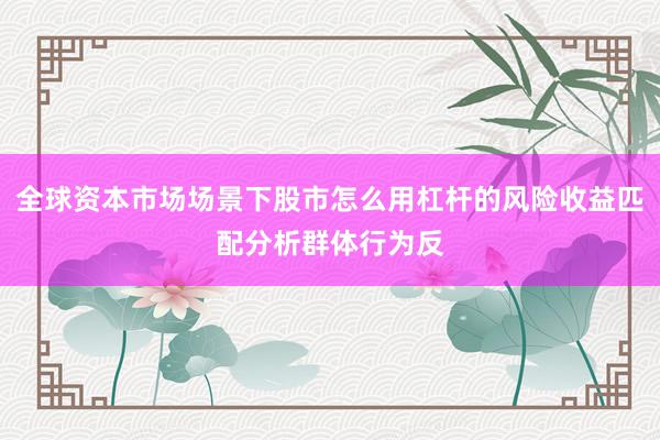 全球资本市场场景下股市怎么用杠杆的风险收益匹配分析群体行为反