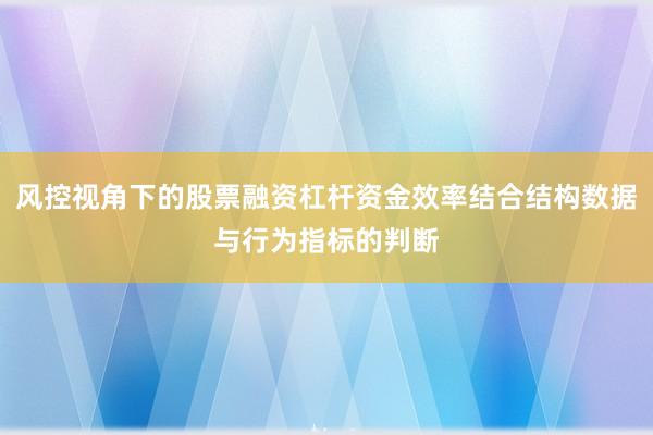 风控视角下的股票融资杠杆资金效率结合结构数据与行为指标的判断